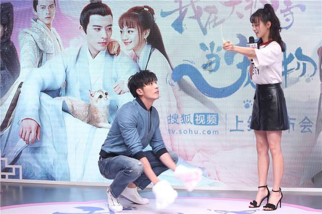 狗妈妈也要“坐月子”,分娩完毕的母犬需要注意哪些问题呢?